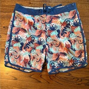 Patagonia Abstract Pink and Blue Shorts